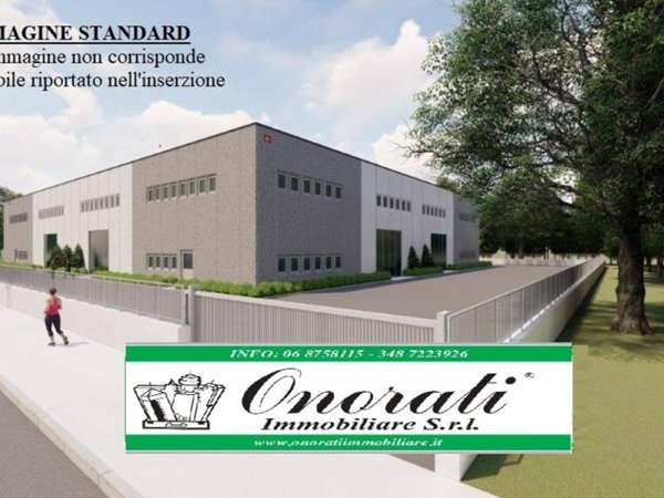 ufficio in affitto a Pomezia