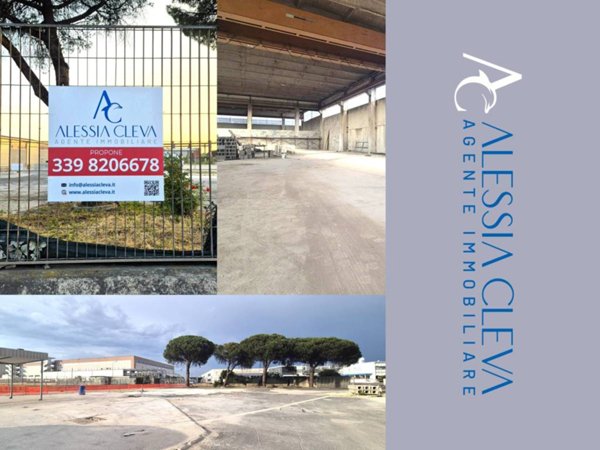locale commerciale in affitto a Pomezia