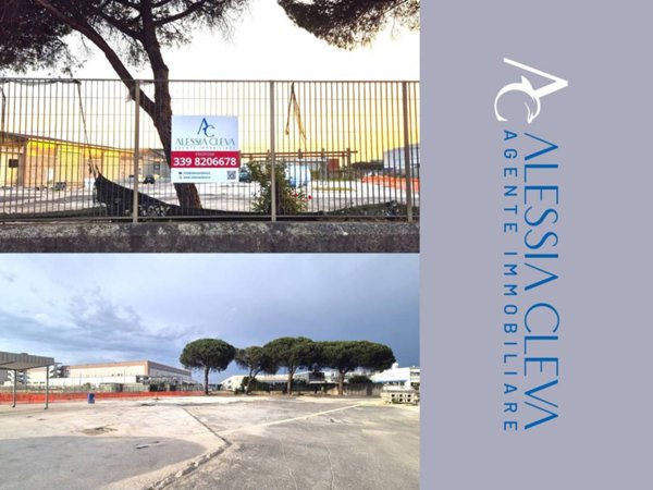 locale commerciale in affitto a Pomezia
