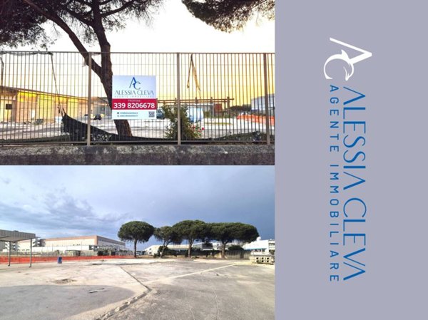 locale commerciale in affitto a Pomezia