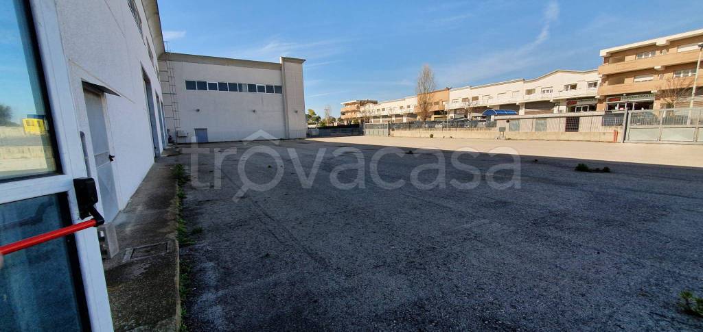 capannone in affitto a Pomezia