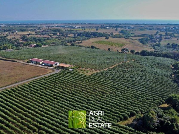 appartamento in affitto a Pomezia in zona Pratica di Mare