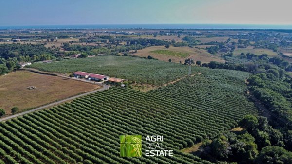 appartamento in affitto a Pomezia