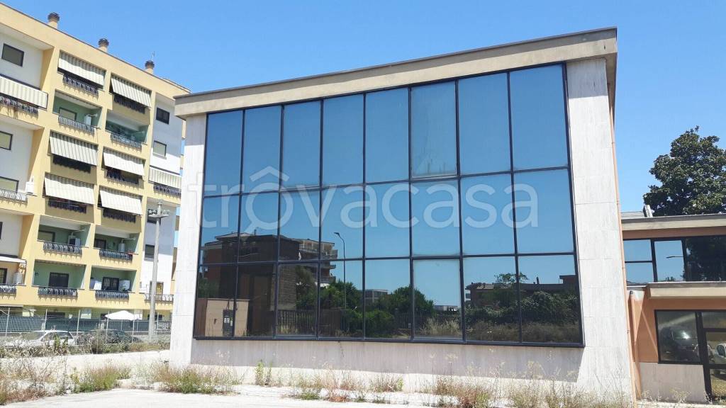 appartamento in affitto a Pomezia