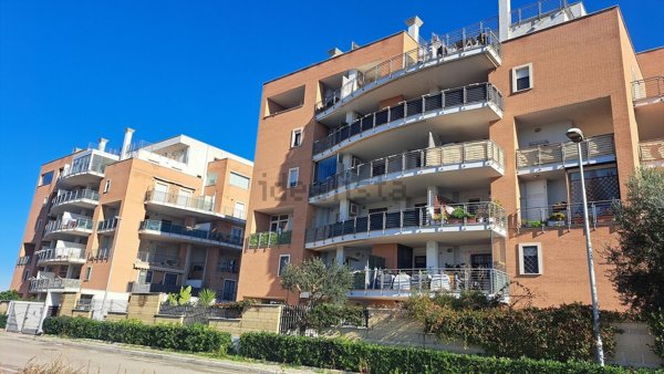 appartamento in affitto a Pomezia in zona Colli di Enea