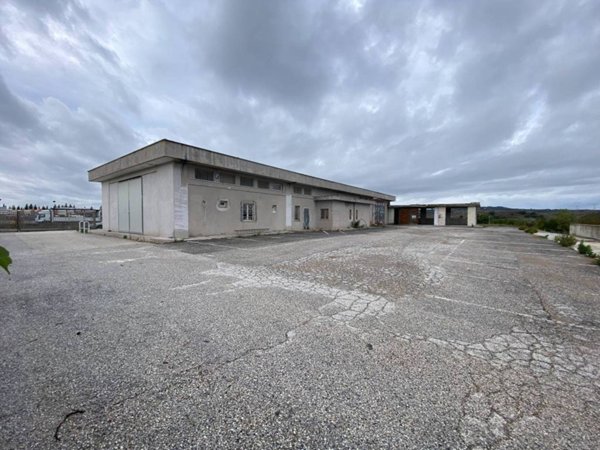 appartamento in affitto a Riano