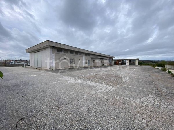 appartamento in affitto a Riano