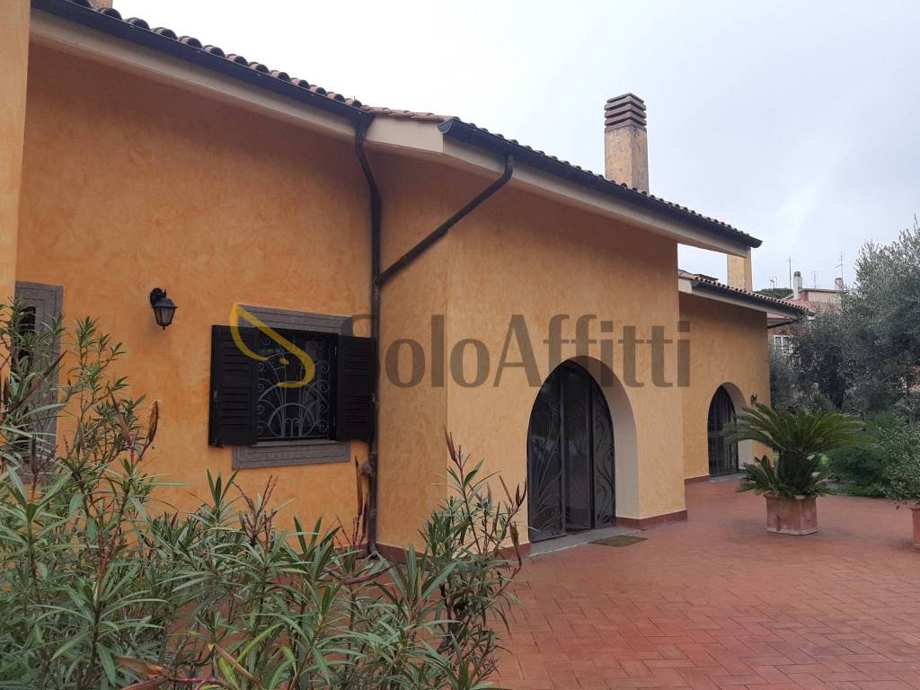 casa indipendente in affitto a Rocca di Papa
