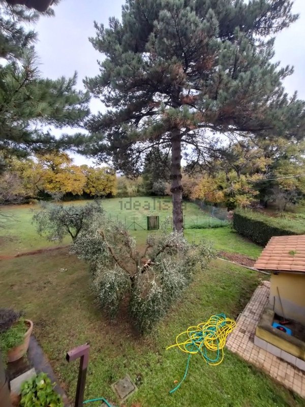 casa indipendente in affitto a Rocca di Papa