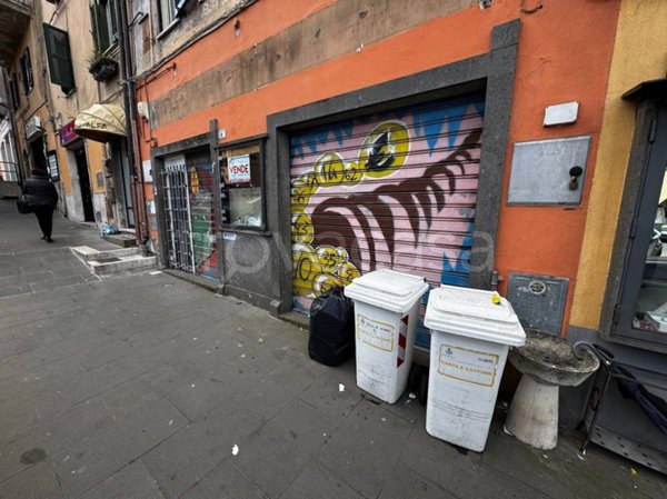 immagine annuncio 0 di 15