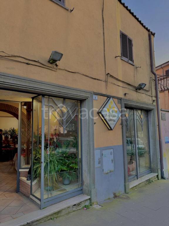 negozio in affitto a Rocca Priora