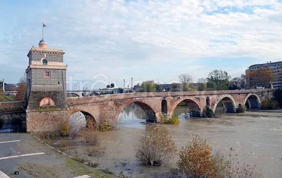 ufficio in affitto a Roma in zona Flaminio