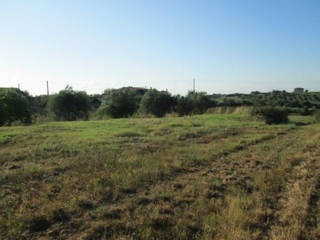 terreno agricolo in affitto a Roma