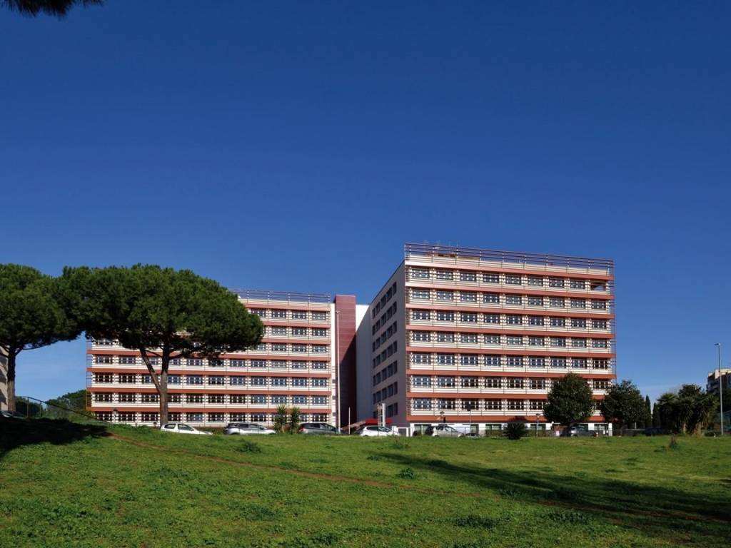 ufficio in affitto a Roma in zona Torrino