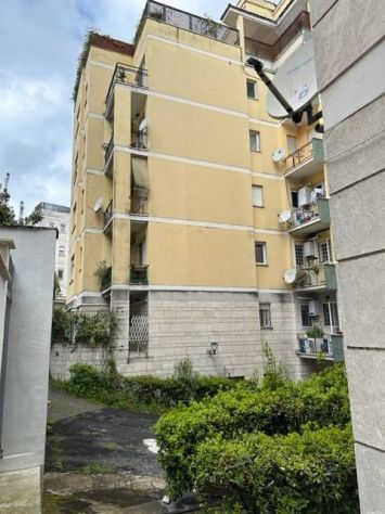 appartamento in affitto a Roma in zona Parioli