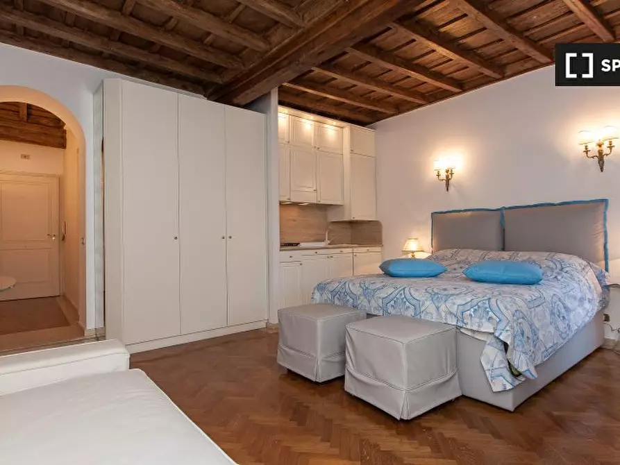 appartamento in affitto a Roma in zona Trevi-Colonna