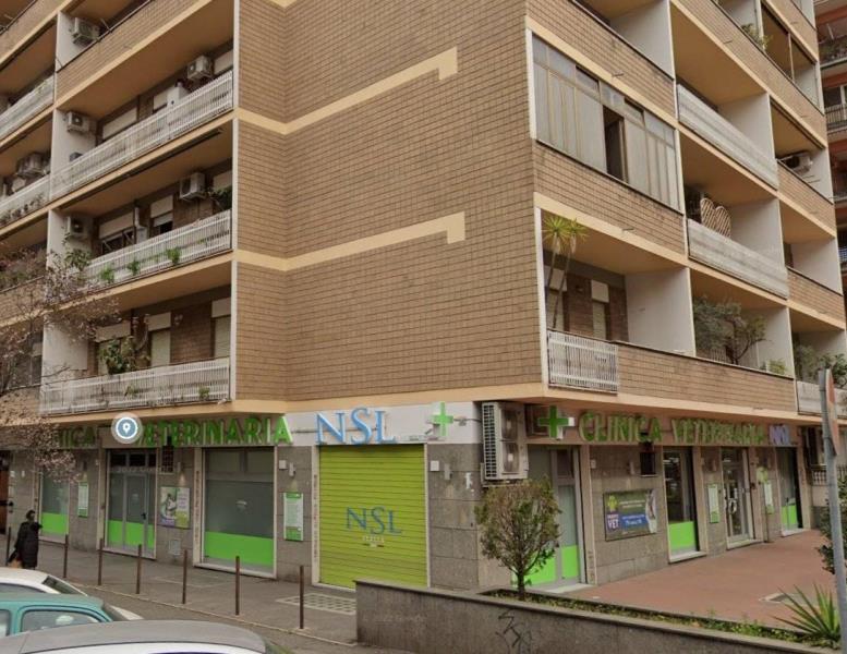 locale commerciale in affitto a Roma in zona Appio Claudio