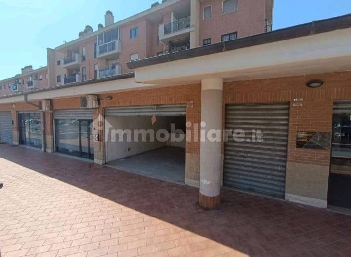 appartamento in affitto a Roma in zona Ponte Galeria