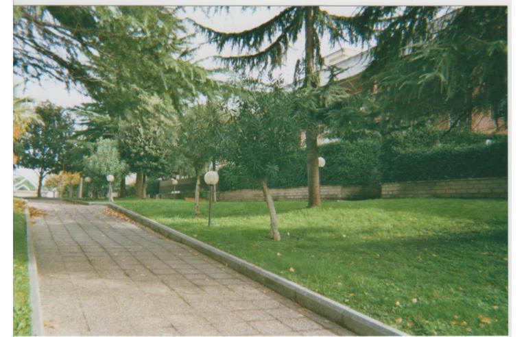 camera singola in affitto a Roma in zona Tiburtino