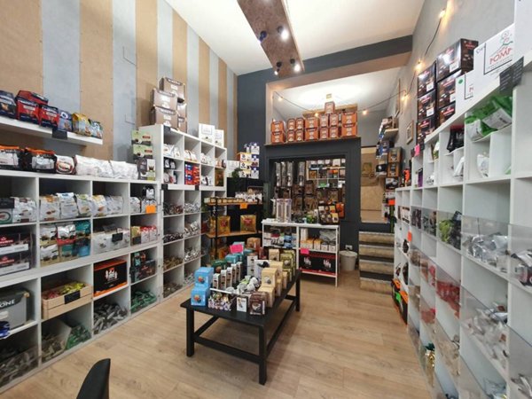 negozio in affitto a Roma in zona Appio Latino