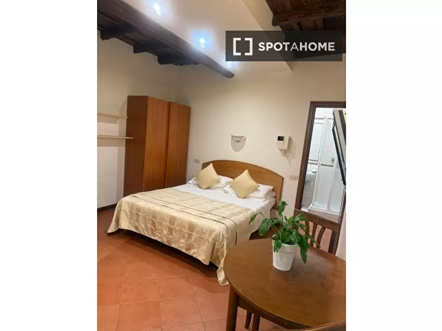 appartamento in affitto a Roma in zona Centro Storico