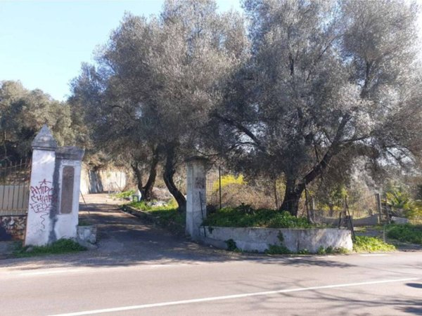 negozio in affitto a Roma in zona Giuliano Dalmata