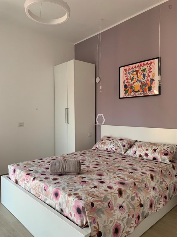 appartamento in affitto a Roma in zona Giuliano Dalmata