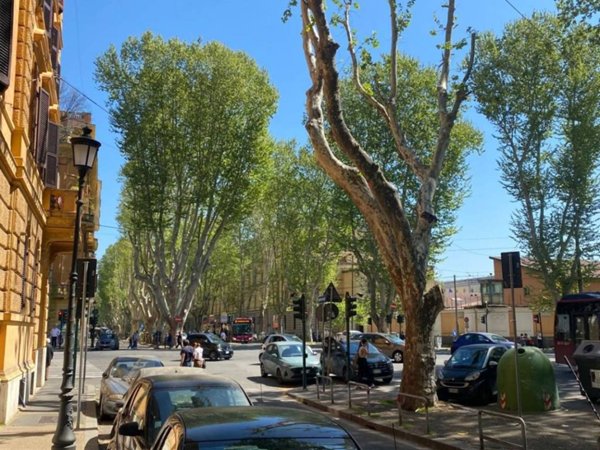 negozio in affitto a Roma