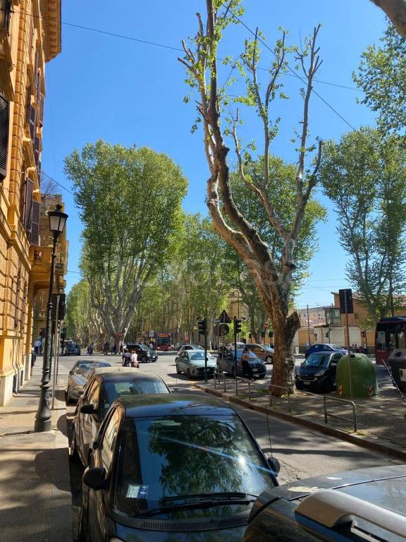 negozio in affitto a Roma