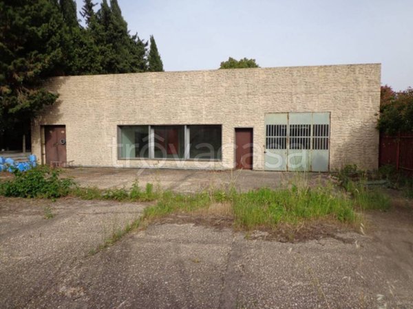 locale commerciale in affitto a Roma in zona Trigoria