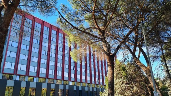 ufficio in affitto a Roma in zona EUR