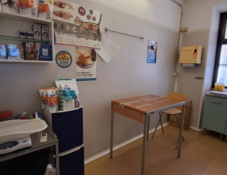 negozio in affitto a Roma in zona Appio Pignatelli