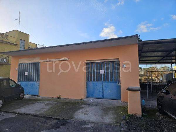 negozio in affitto a Roma in zona Grottarossa