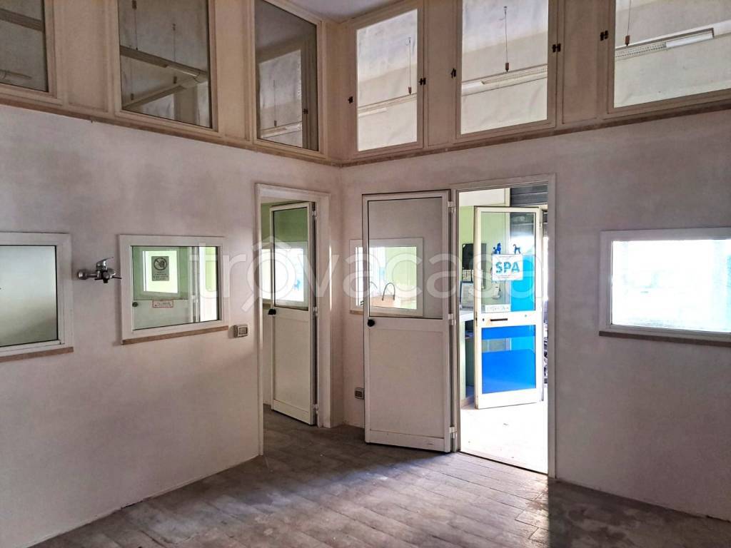trivano in affitto a Roma in zona Primavalle