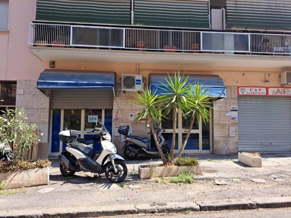 trivano in affitto a Roma in zona Primavalle