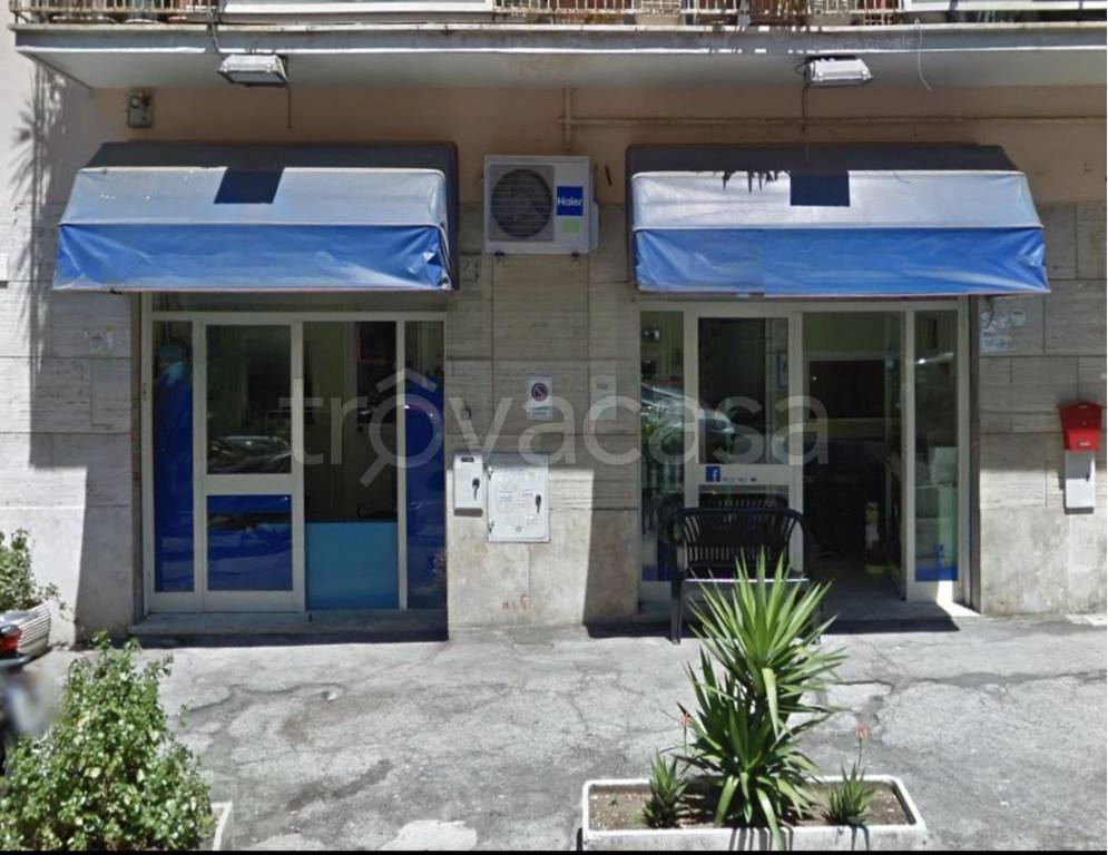 trivano in affitto a Roma in zona Primavalle