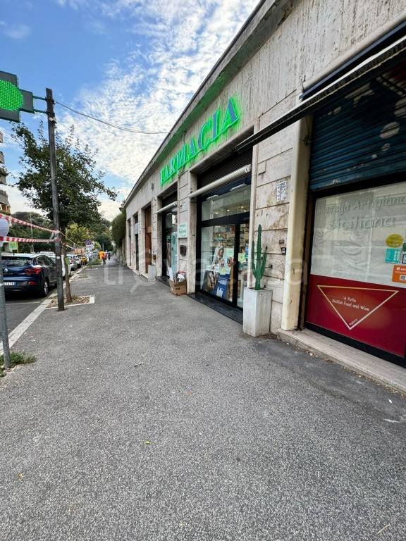 casa indipendente in affitto a Roma in zona Trieste