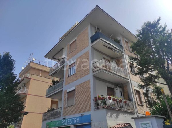 negozio in affitto a Roma in zona Torrevecchia