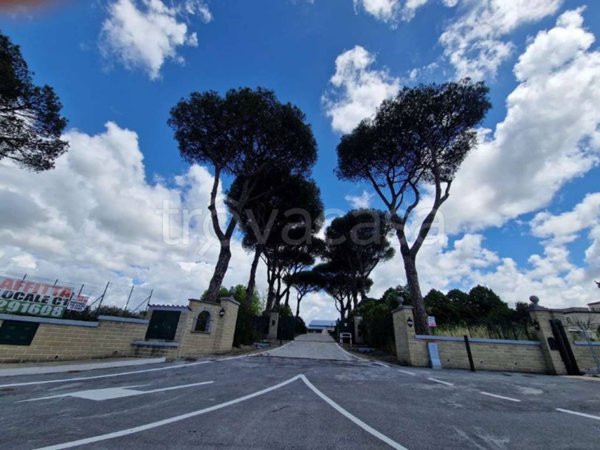 negozio in affitto a Roma in zona Giuliano Dalmata