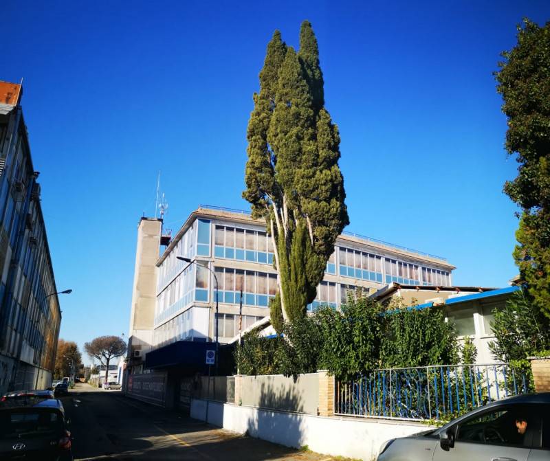 negozio in affitto a Roma in zona Salario