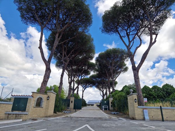 locale commerciale in affitto a Roma in zona Selvotta