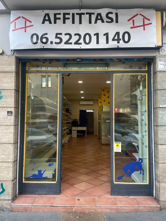 appartamento in affitto a Roma in zona Ostiense