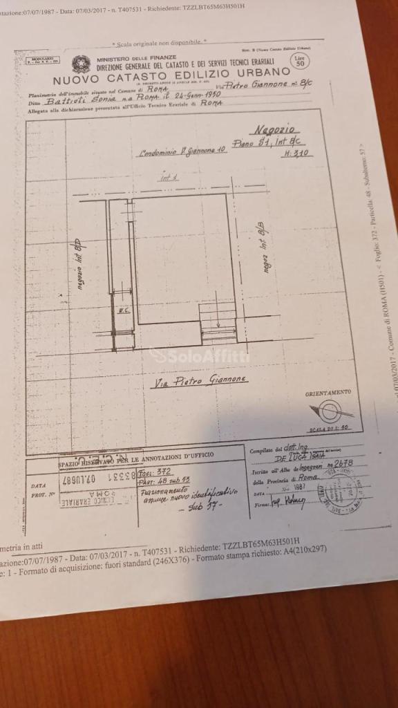 appartamento in affitto a Roma in zona Trionfale
