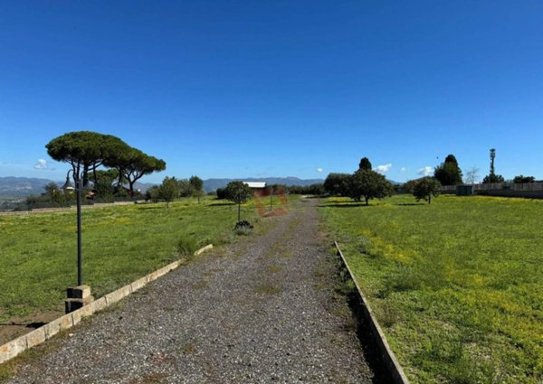 terreno agricolo in affitto a Roma in zona Finocchio