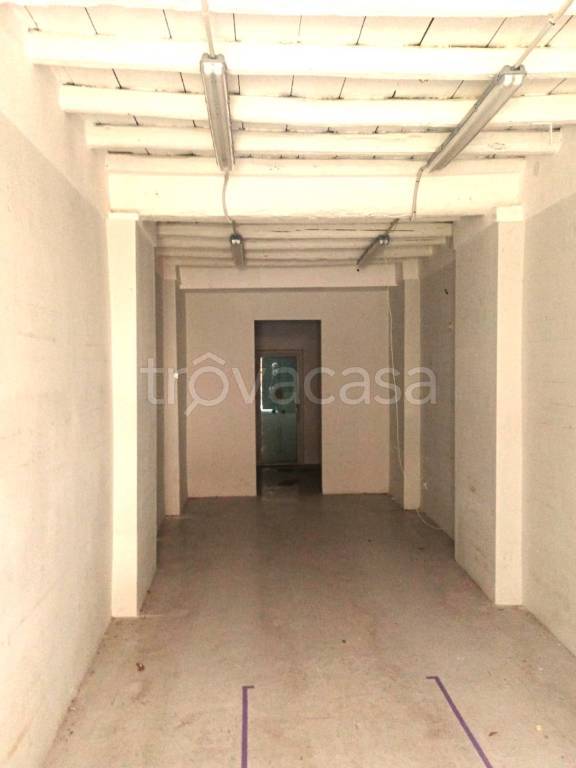 appartamento in affitto a Roma in zona Parioli