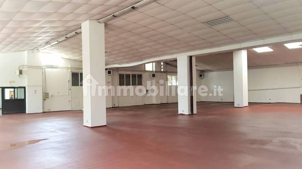 negozio in affitto a Roma in zona Appio Latino