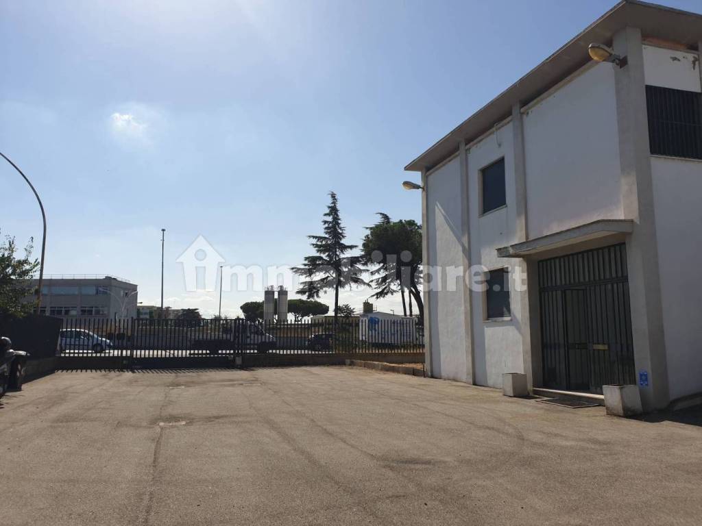 locale commerciale in affitto a Roma in zona Ponte Mammolo