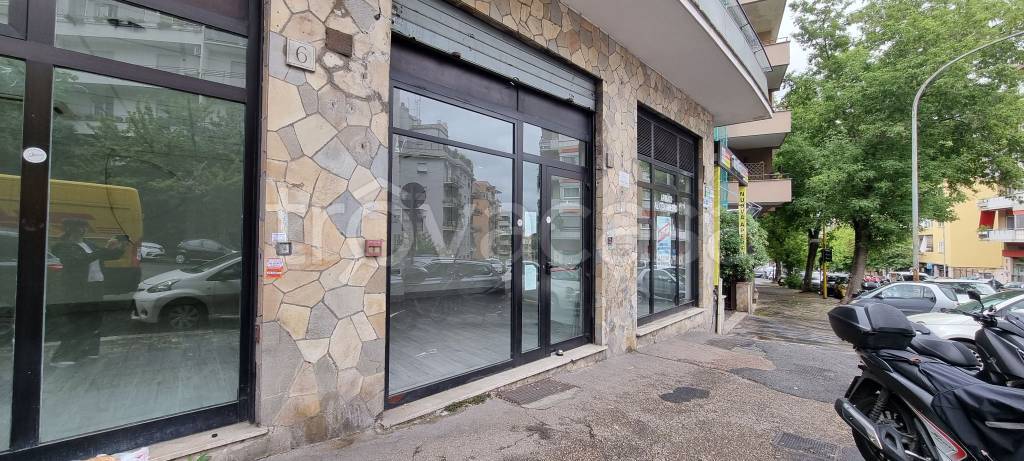 casa indipendente in affitto a Roma in zona Trieste