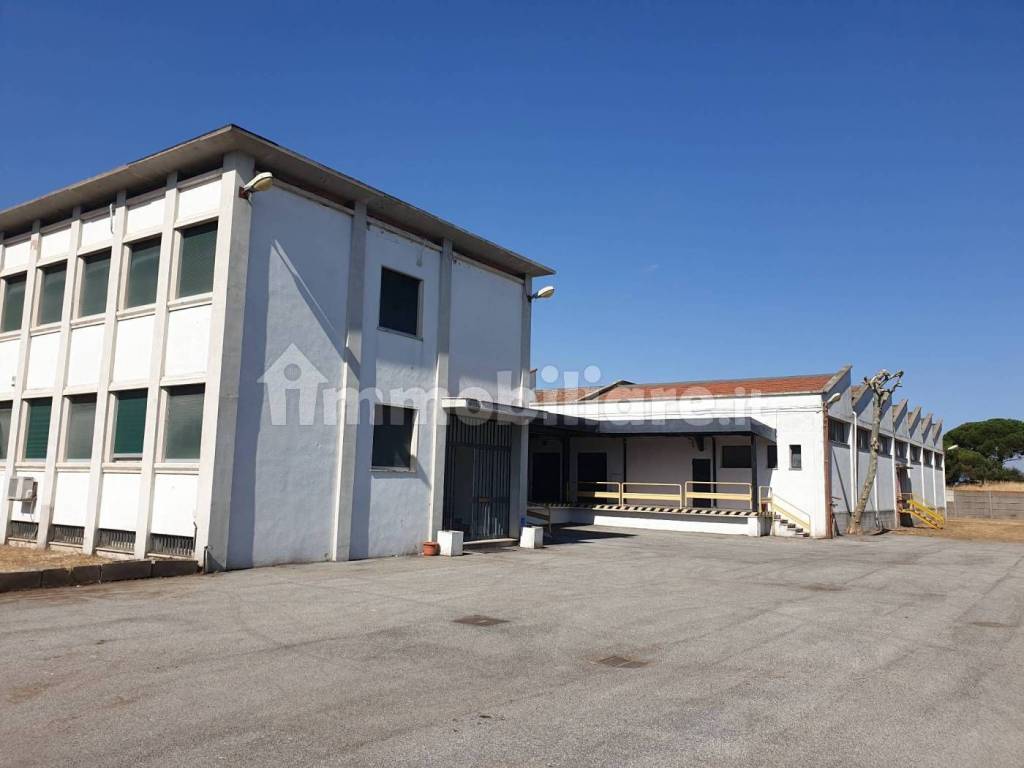 capannone in affitto a Roma in zona Ponte Mammolo