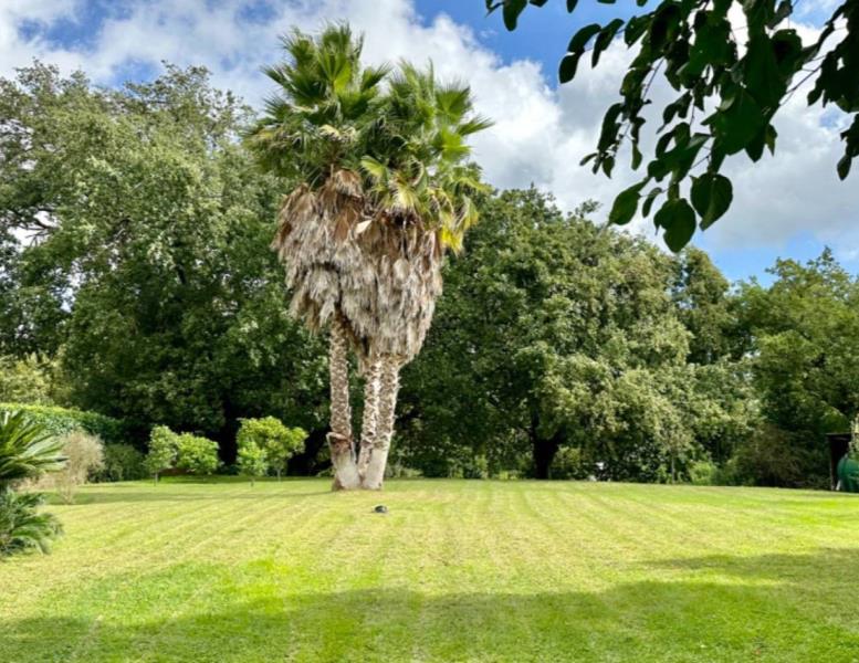 casa indipendente in affitto a Roma in zona Olgiata